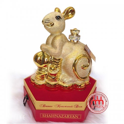 Chuột vàng Đồng Tiền Vàng 02